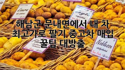 🚗💨 해남군 문내면에서 내 차 최고가로 팔기! 중고차 매입 꿀팁 대방출!
