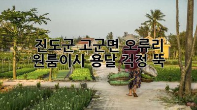 진도군 고군면 오류리 원룸이사 용달, 걱정 뚝!